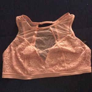 Torrid bralette